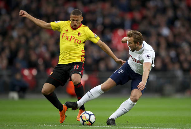 拥有大量粉 拥有大量粉